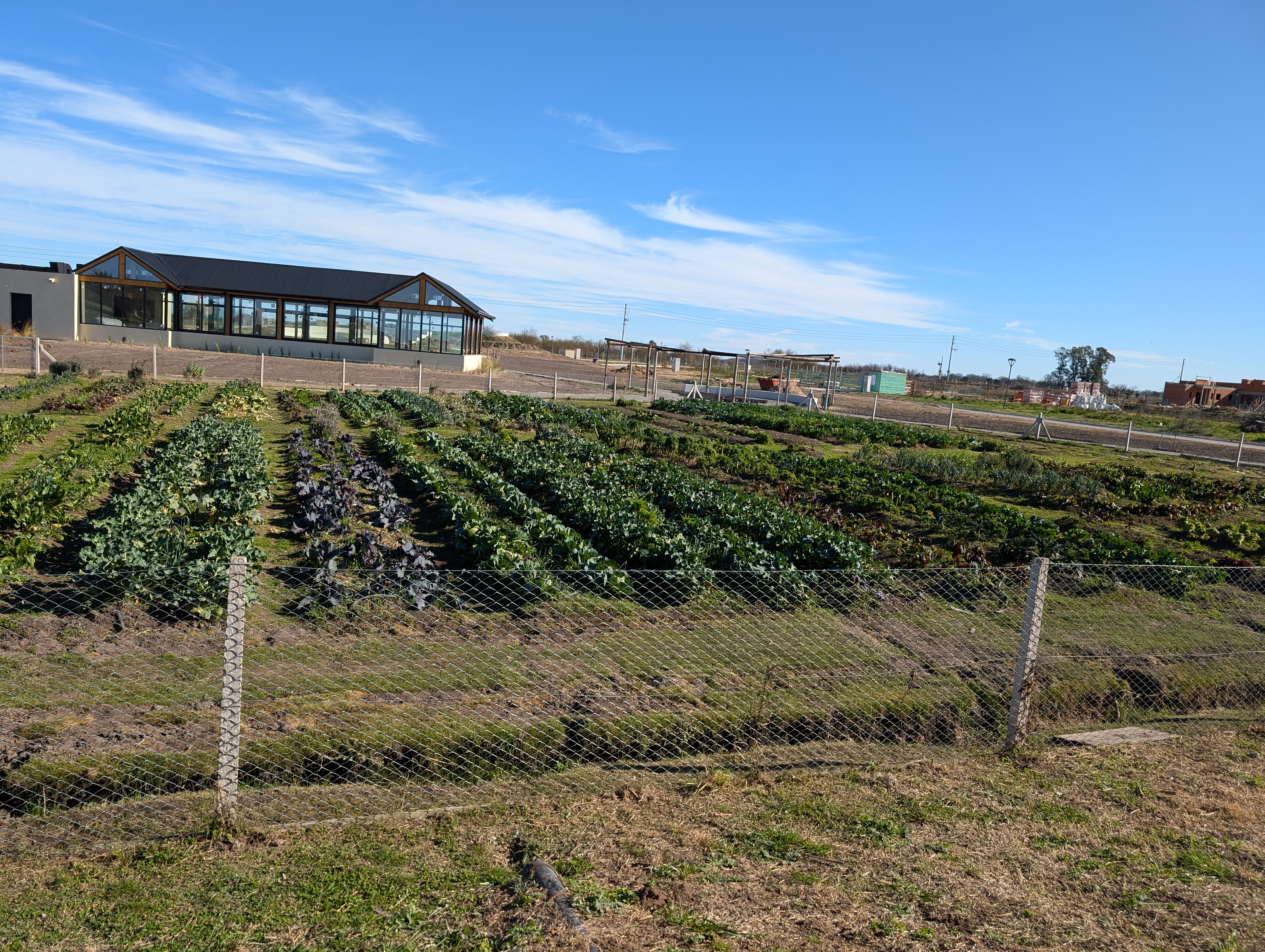 Huerta orgánica comunitaria